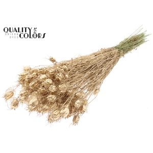 Nigella per bunch Antique Gold