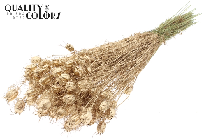 Nigella per bunch Antique Gold
