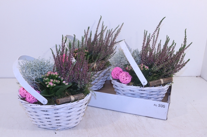 <h4>ARR TUINPLANTEN</h4>