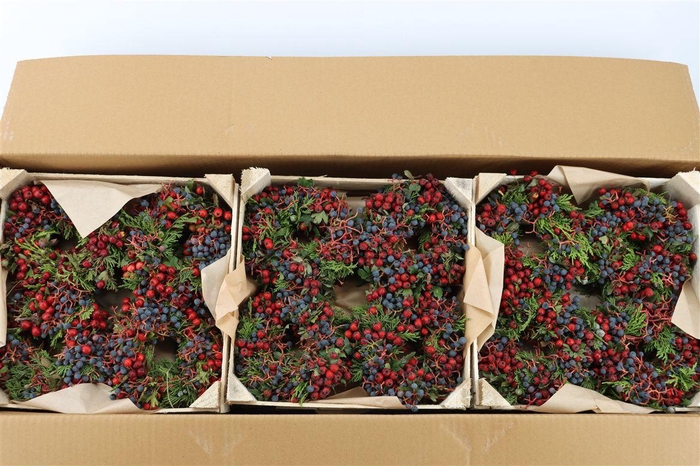 <h4>Wr Sierfruit Juni Ampe Cornus 12cm</h4>