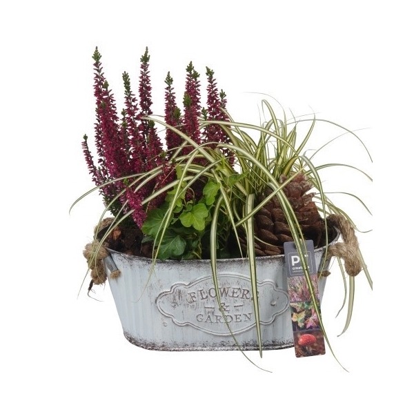 <h4>PTHO4112 Arrangement Herfst Outdoor in metalen pot ovaal</h4>