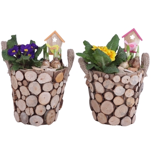 Early Spring Arr. Outdoor Wooden Pot Round Tree Chucks Ø20cm 2PP