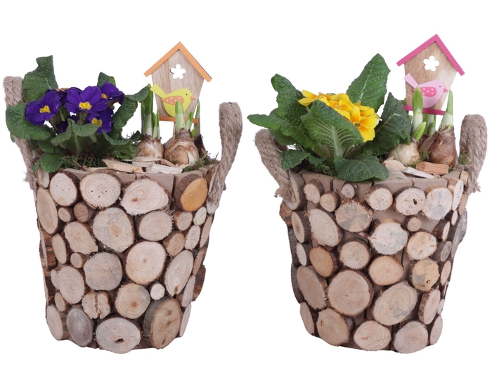 <h4>Early Spring Arr. Outdoor Wooden Pot Round Tree Chucks Ø20cm 2PP</h4>