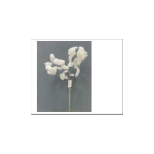 AF Eucalyp Spray Puddle L79cm