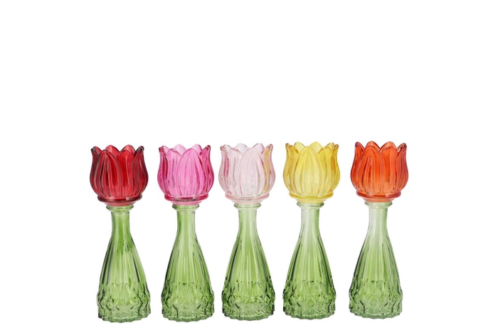 <h4>Bicolore Multi Color Mix Tulip Vase Ass 7x18cm</h4>