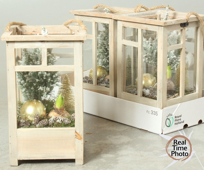 <h4>ARR TUINPLANTEN</h4>