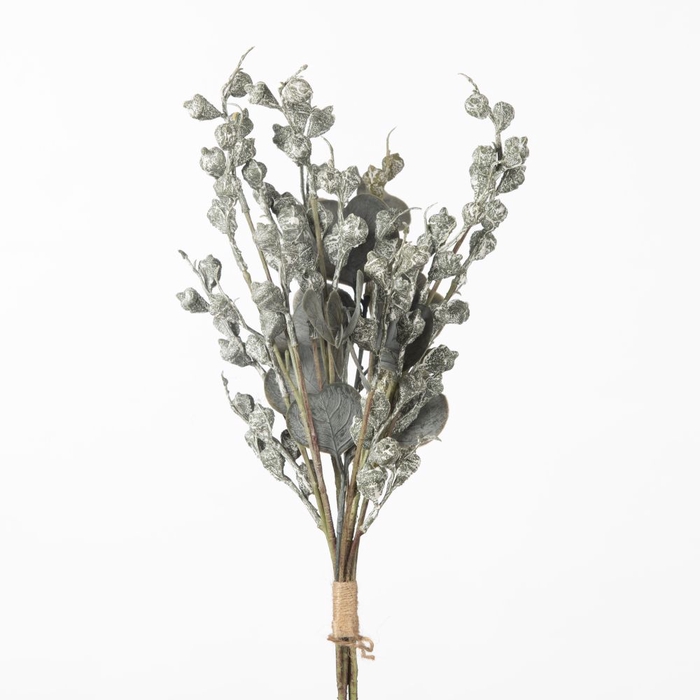 AF Eucalyp Seed Bundle L43cm G