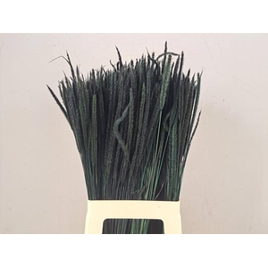 Df Carmen Grass Dark Green 50g