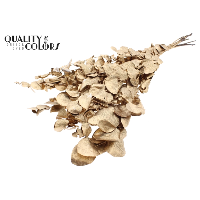 <h4>Eucalyptus Dried per bunch Antique Gold</h4>