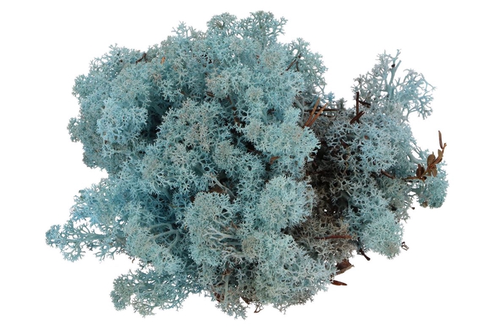 Mos Iceland Aquamarijn 500gram Nm