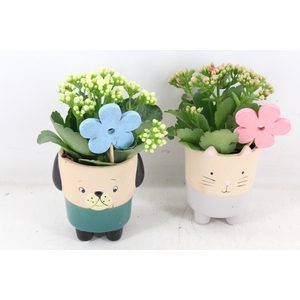 arr2 JS - Ker. potje cat dog - roze/wit