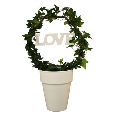 <h4>Hedera He Groen Boog + Love A2</h4>