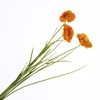 Papaver Spray Orange FL440340ORA
