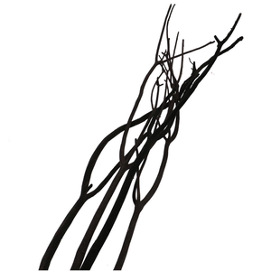 Dried articles Mitsumata flock 115cm x3