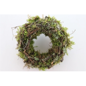 Wr Larix Moss 30cm