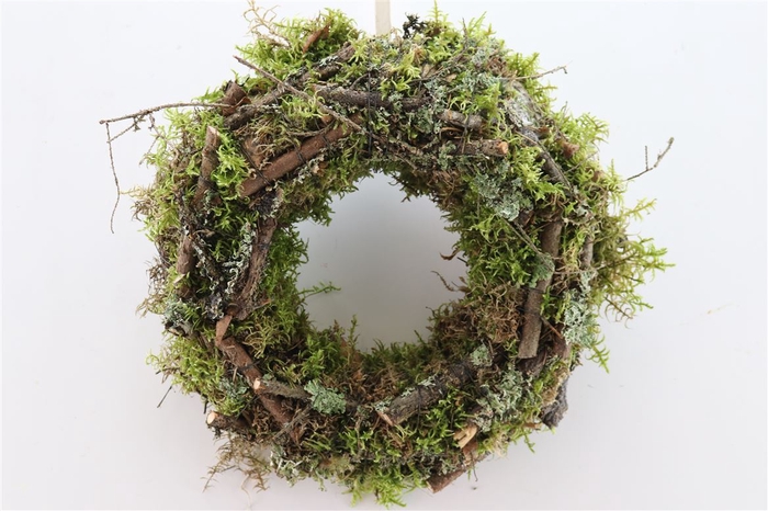 <h4>Wr Larix Moss 30cm</h4>