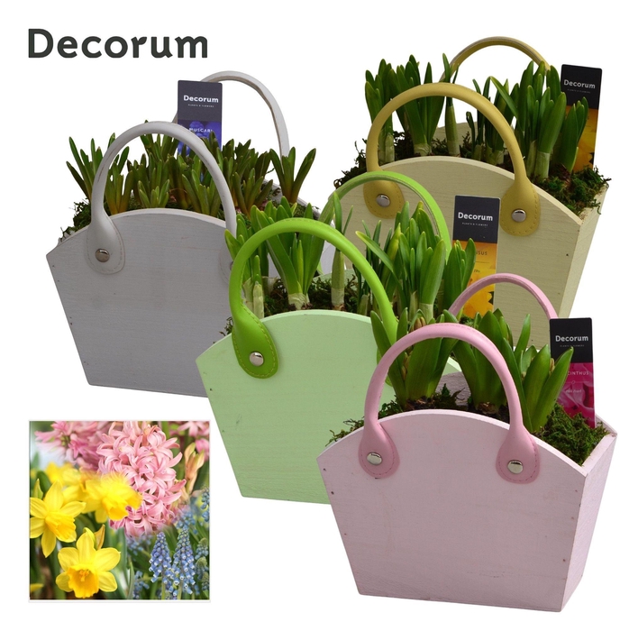 <h4>Bollenmix Wooden Bag HL15873B</h4>