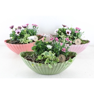 arr4 Outdoor PL - Kunstst. kano mix 338/3