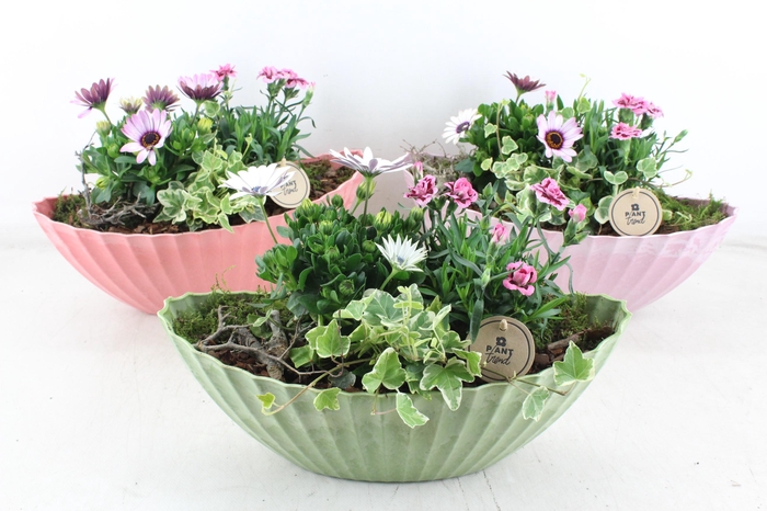 <h4>arr4 Outdoor PL - Kunstst. kano mix 338/3</h4>