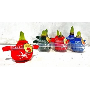 BLOEMBOL HIPPEASTRUM