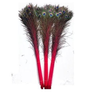 Feather Peacock L90-100 Naturel Cerise