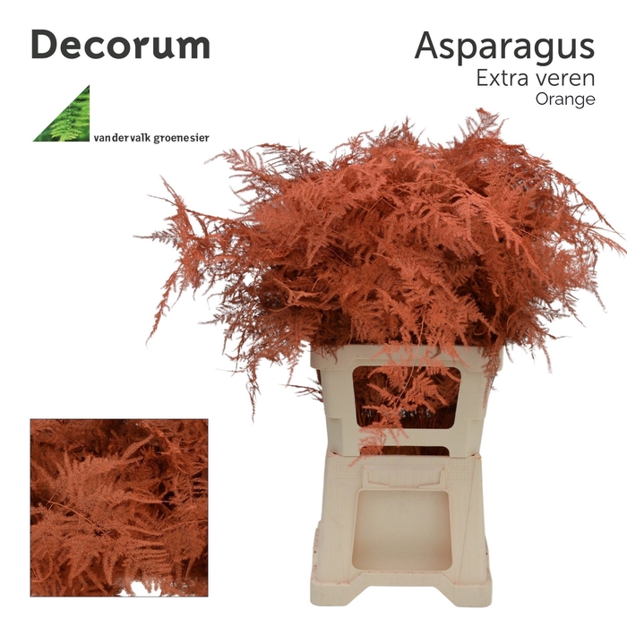 <h4>Asp extra veren Orange</h4>