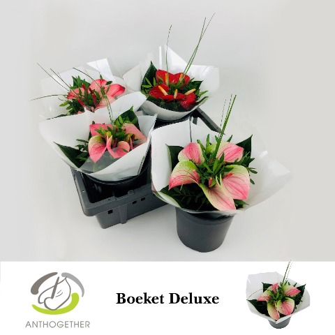 <h4>Boeket Deluxe 5 bloem Wit 4</h4>