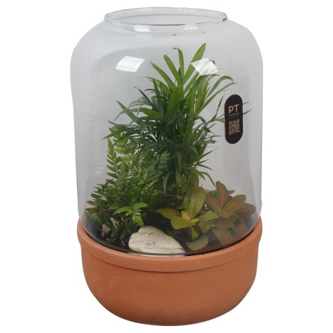 <h4>PTGIG2190 Arrangementen kamerplanten groen</h4>