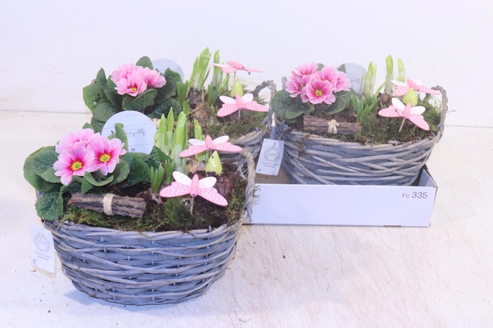 <h4>ARR TUINPLANTEN</h4>