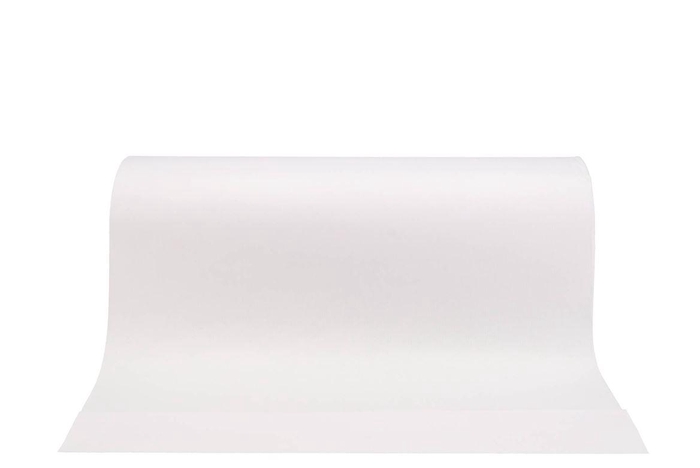 <h4>Paper 50cm Star 10kg White</h4>