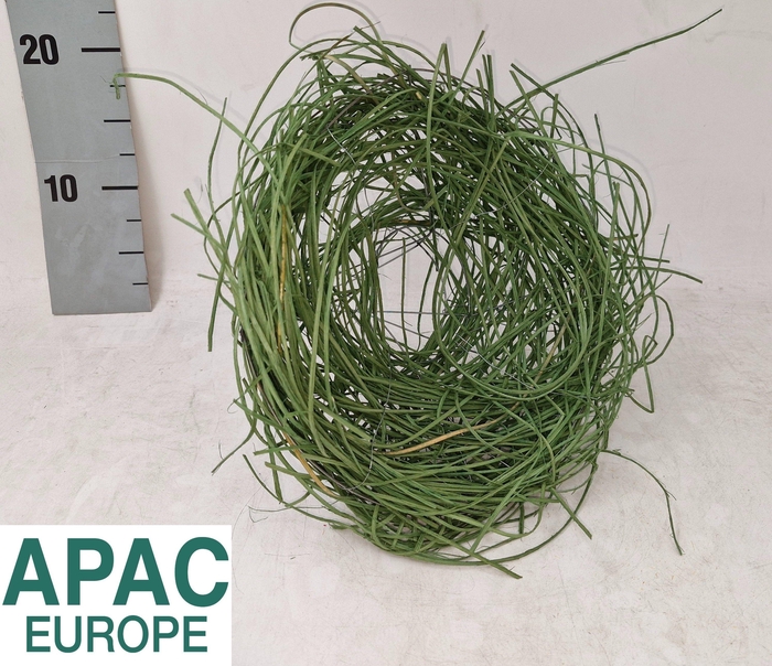 <h4>BOEKETHOUDER H%</h4>