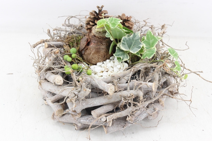 <h4>arr4 Amaryllis PL - Takken krans XL</h4>