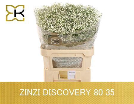 <h4>Gyps Pa Zi Discovery</h4>