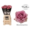 R GR MONT MARTRE+ x 20