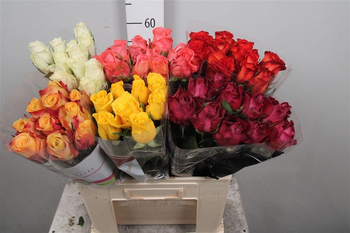 <h4>R Gr Gemengd In Fust</h4>