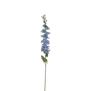 Delphinium  78cm