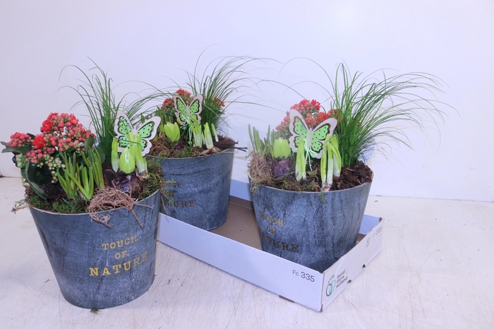 <h4>ARR PL IN SCHAAL</h4>