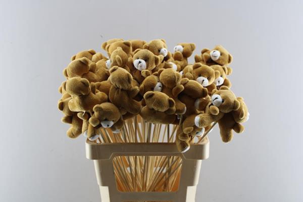 <h4>Bijsteker Teddy Beer H%</h4>