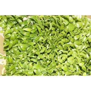 FOLHAGEM ASPARGO SMILAX