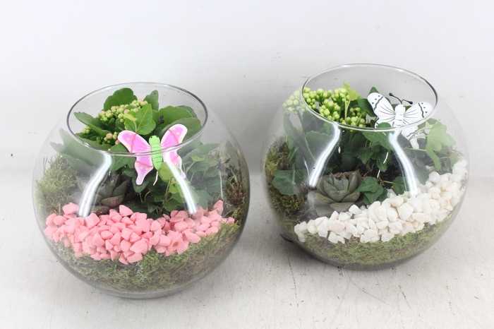 Arr2 Pl - Glas Bol X5 - Roze/wit