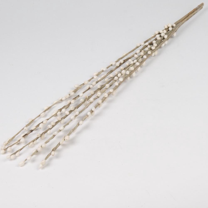 <h4>DF Moti Stick Bs 5pcs 55cm Ble</h4>