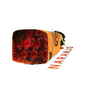 R GR RED PANTHER Naranjo