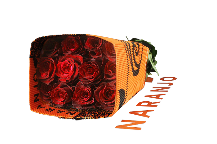 <h4>R GR RED PANTHER Naranjo</h4>