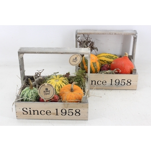 arr4 Sierfruit PL - Hout bollenkist x4