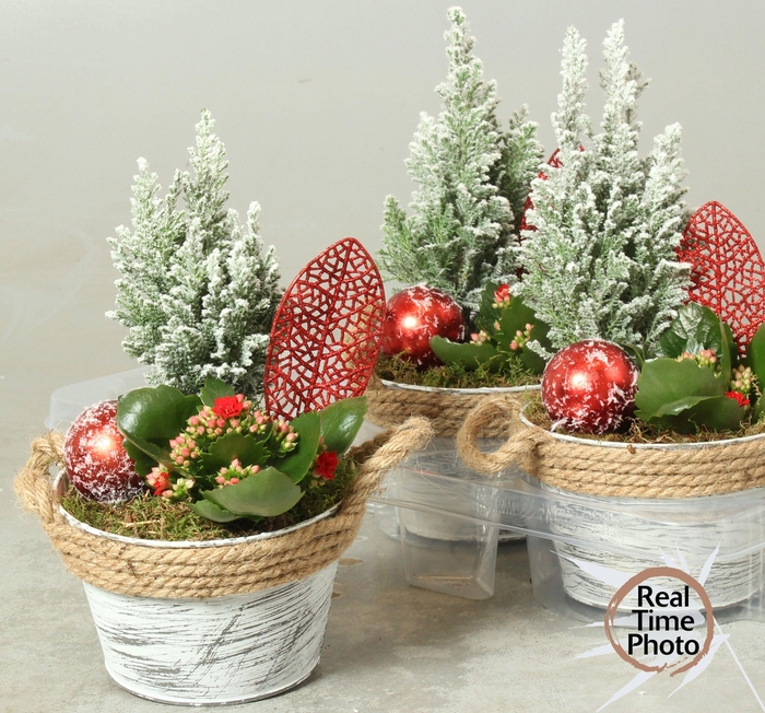 <h4>ARR KAMERPL</h4>