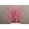 Betula paint light pink