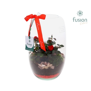 Green Bottle Isabella Medium Love met Potroos