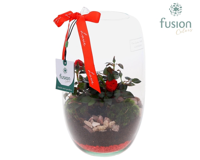 <h4>Green Bottle Isabella Medium Love met Potroos</h4>