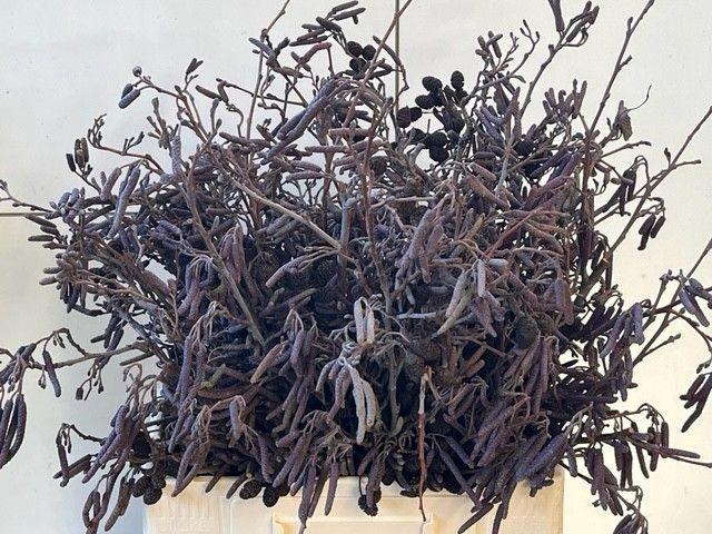 <h4>ELZENPROP PER STEM 65CM</h4>