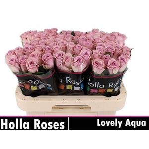 R Gr Lovely Aqua!